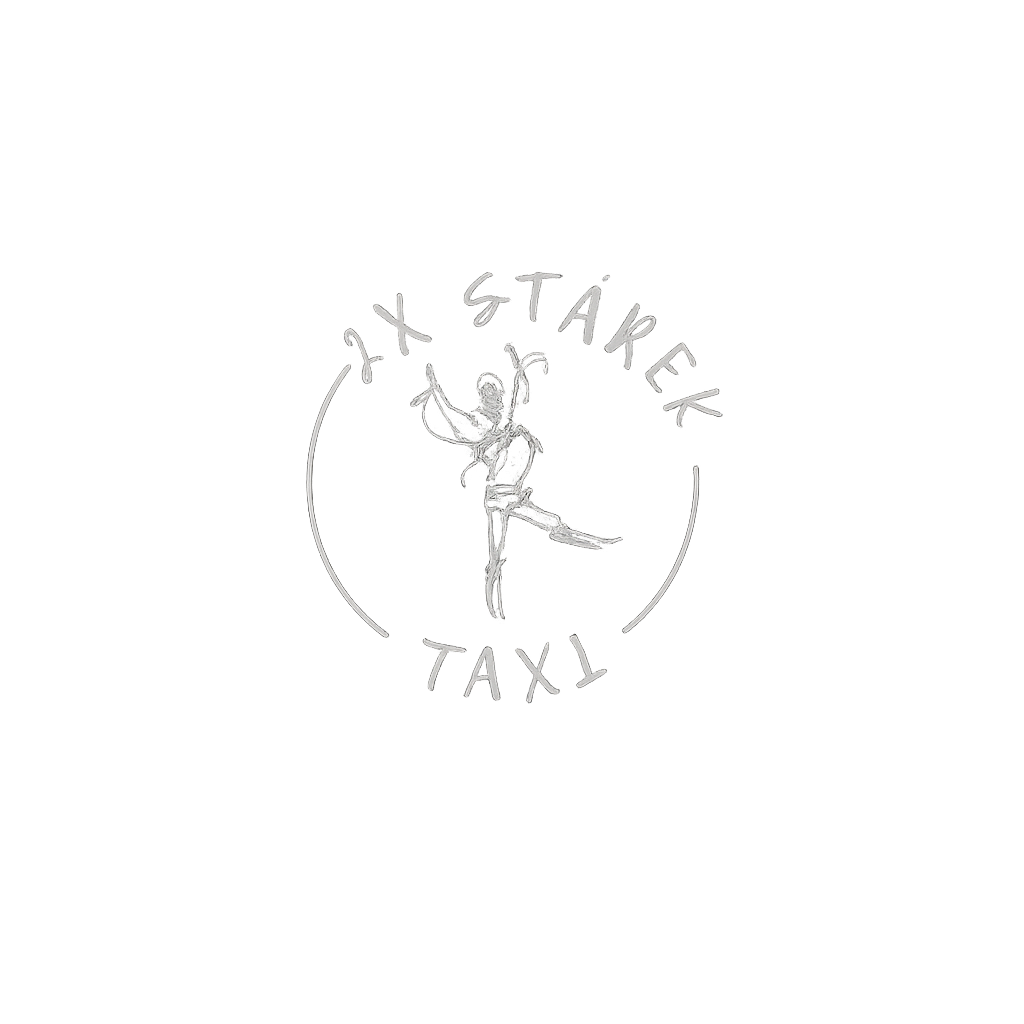 2x Stárek Taxi Lanžhot logo